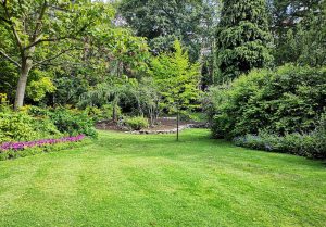 Optimiser l'expérience du jardin à Saint-Lary-Boujean